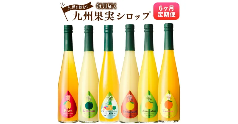 【ふるさと納税】【6ヶ月定期便】 九州を飲む！九州果実シロップ 合計3L 500ml×6回 合計6本 定期便 タンカン たんかん 甘夏 日向夏 カボス 柑橘 パイン シークヮーサー パッションフルーツ びわ フルーツ 果実 果汁 国産 九州 送料無料