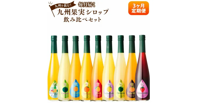 【ふるさと納税】【3ヶ月定期便】 九州を飲む！ 毎月届く九州果実シロップ 飲み比べセット 合計4.5L 500ml×3本×3回 合計9本 定期便 あまおう みかん ヘベス 晩柑 びわ タンカン デコポン カボス 柑橘 フルーツ 果実 果汁 国産 九州 送料無料