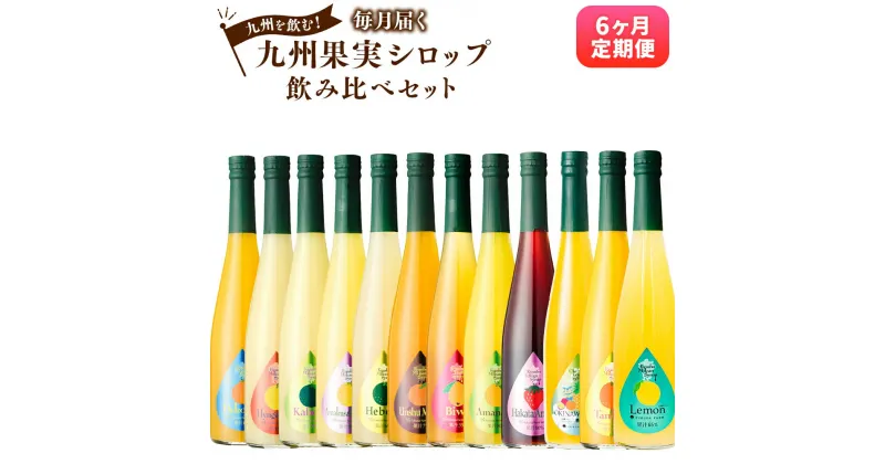 【ふるさと納税】【6ヶ月定期便】 九州を飲む！毎月届く九州果実シロップ飲み比べセット 合計9L 500ml×3本×6回 合計18本 レモン タンカン あまおう 甘夏 びわ カボス デコポン みかん ヘベス 晩柑 日向夏 フルーツ 果実 果汁 国産 送料無料