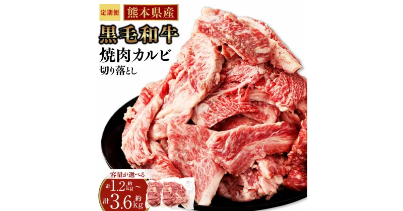 【ふるさと納税】【定期便】熊本県産黒毛和牛 焼肉 カルビ 切り落とし 1回あたり 600g 300g×2パック ＜選べる＞ 2回 3回 4回 5回 6回 霜降り くまもと黒毛和牛 和牛 牛肉 お肉 肉 BBQ キャンプ 炒め物 牛丼 国産 九州 熊本 冷凍 送料無料