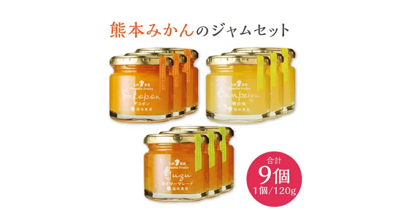 【ふるさと納税】熊本みかんのジャムセット 3種 9個 合計1,080g 1個120g 各3個 デコポン 甘夏 晩白柚 柑橘 みかん 蜜柑 マーマレード ジャム セット 朝ごはん 加工品 ギフト 贈り物 贈答 国産 九州 熊本 送料無料