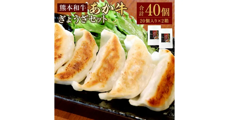 【ふるさと納税】熊本和牛あか牛ぎょうざセット 熊本あか牛餃子 合計40個 20個入り×2箱 あか牛 あかうし 牛肉 お肉 肉 ぎょうざ ギョウザ 中華 点心 濃厚 肉汁 20個 2箱 国産 九州 熊本県 水俣市 送料無料