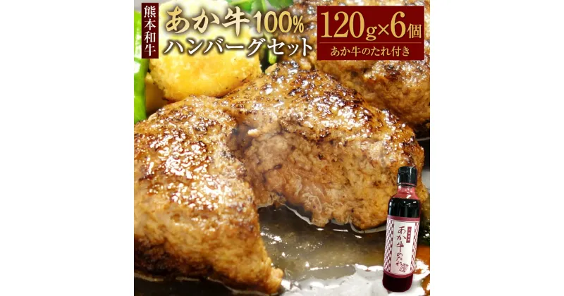 【ふるさと納税】あか牛100％ハンバーグセット ハンバーグ 約120g×6個 あか牛のたれ付き 約200ml あか牛 あかうし 和牛 牛肉 お肉 肉 セット タレ 洋食 国産 九州 熊本県 水俣市 送料無料