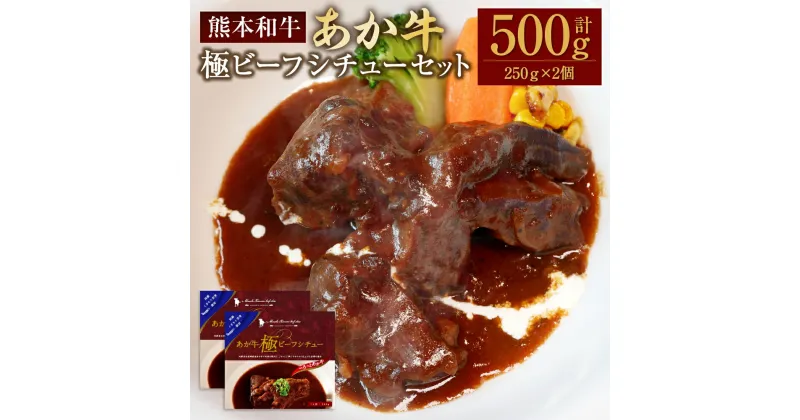 【ふるさと納税】あか牛極ビーフシチュー 合計500g 約250g×2個 あか牛 あかうし 牛肉 和牛 お肉 肉 極 ビーフシチュー レトルト 九州 熊本県 水俣市 送料無料