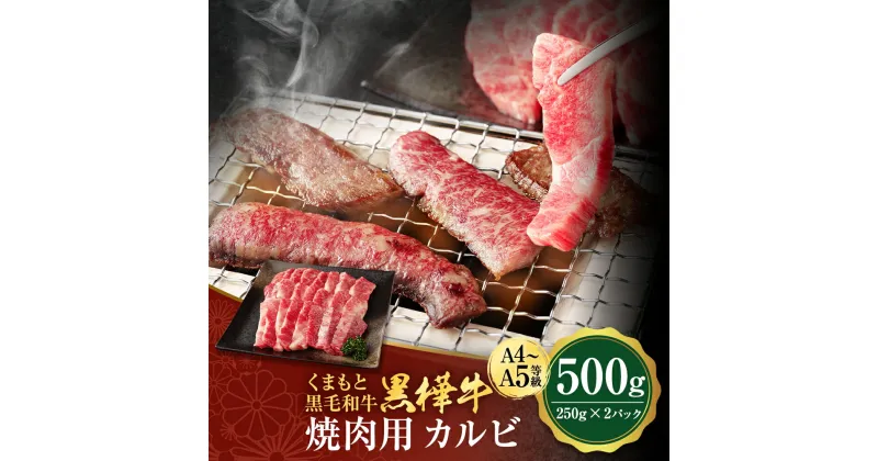 【ふるさと納税】くまもと黒毛和牛 黒樺牛 A4~A5等級 焼肉用カルビ 合計500g 250g×2パック 牛肉 牛 霜降り 赤身 お肉 焼き肉 BBQ 黒毛和牛 国産 九州産 熊本県産 冷凍 送料無料