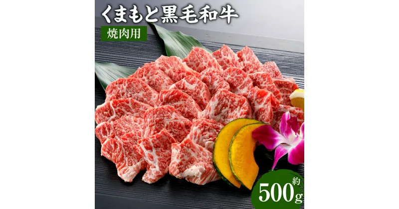 【ふるさと納税】くまもと黒毛和牛 焼肉用 500g 牛肉 和牛 肉 お肉 バーベキュー BBQ 焼き肉 国産 九州 熊本県 冷凍 送料無料