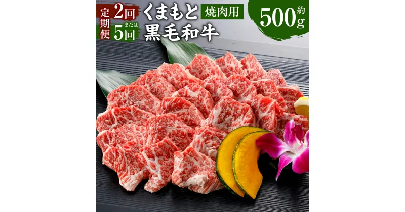 【ふるさと納税】【定期便】 くまもと黒毛和牛 焼肉用 500g 定期便 2回 合計1kg または 5回 合計2.5kg 牛肉 和牛 肉 お肉 バーベキュー BBQ 焼き肉 国産 九州 熊本県 冷凍 送料無料