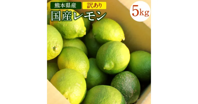 【ふるさと納税】国産レモン 訳あり 約5kg 県認証特別栽培 熊本県産 レモン れもん 檸檬 レモン果汁 ご家庭用 傷あり フードロス 料理 柑橘類 九州産 国産 防腐剤・ワックス不使用 送料無料【2024年11月上旬-2025年6月上旬迄発送予定】