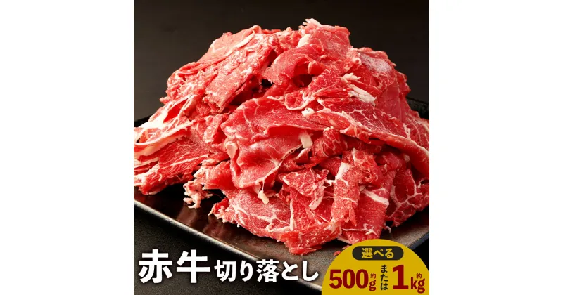 【ふるさと納税】赤牛 切り落とし ＜容量が選べる＞ 500g 1kg あかうし 切り落とし お肉 和牛 熊本県産 九州産 国産 冷凍 送料無料