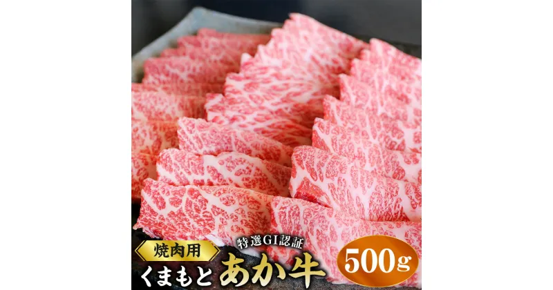 【ふるさと納税】厳選されたGI認証 くまもとあか牛 特選 焼肉用 約500g 霜降り 和牛 牛肉 お肉 肉 焼き肉 焼肉 BBQ 国産 九州 熊本県 ブランド牛 送料無料