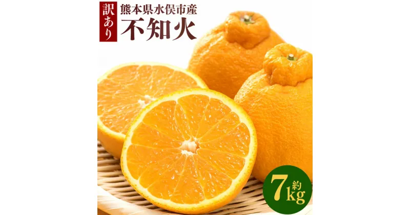 【ふるさと納税】訳あり 不知火 約7kg しらぬい みかん 柑橘 フルーツ 果物 九州 熊本県 送料無料【2025年1月下旬から2025年4月下旬発送予定】