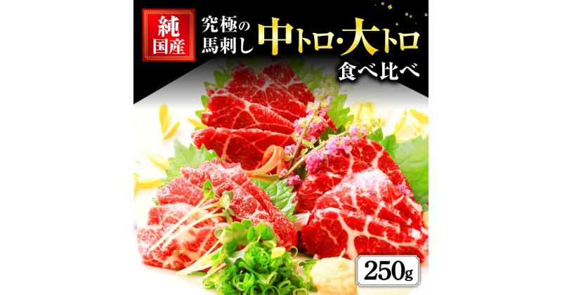 【ふるさと納税】国産 熊本 馬刺し 霜降り中トロ・大トロ食べ比べ セット 合計250g 2種 中トロ 大トロ 馬刺し 馬刺 霜降り 中トロ 熊本名物 国産 冷凍 送料無料