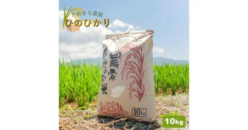 【ふるさと納税】米 10キロ 10kg ヒノヒカリ かめまる農園 ひのひかり 生産者直送 玉名 熊本 送料無料