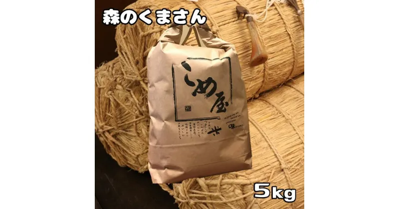 【ふるさと納税】 米 森のくまさん 5kg 精米 白米 | 検査米 日本遺産 菊池川 玉名 熊本 送料無料