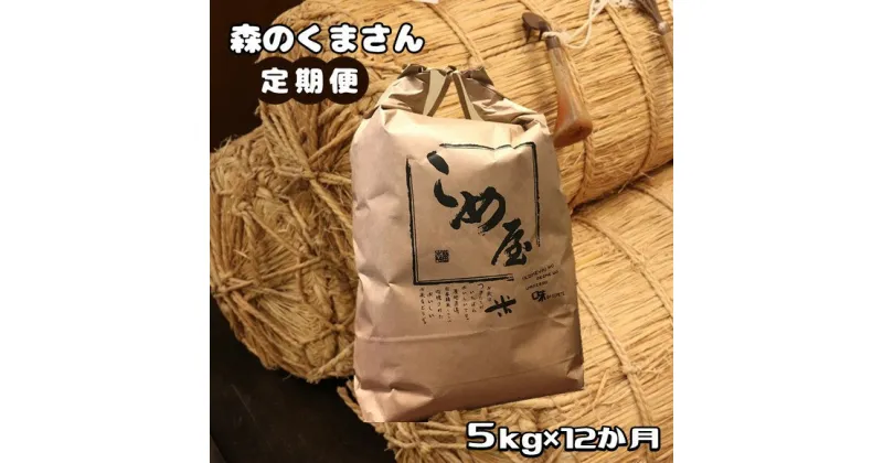 【ふるさと納税】 定期便 米 森のくまさん 5kg × 12回 精米 白米 | 検査米 日本遺産 菊池川 玉名 熊本 送料無料