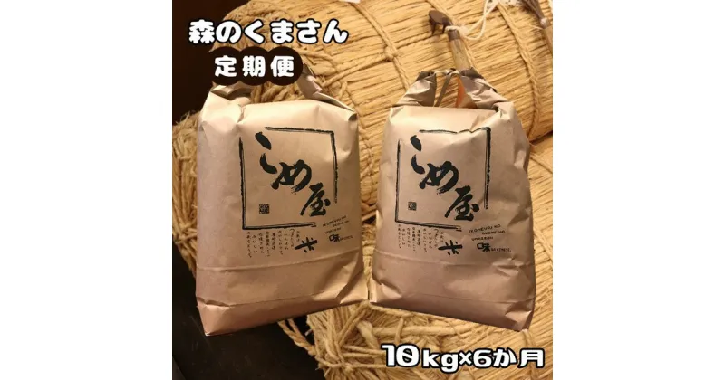 【ふるさと納税】 定期便 米 森のくまさん 10kg × 6回 白米 精米 | 検査米 日本遺産 菊池川 玉名 熊本 送料無料