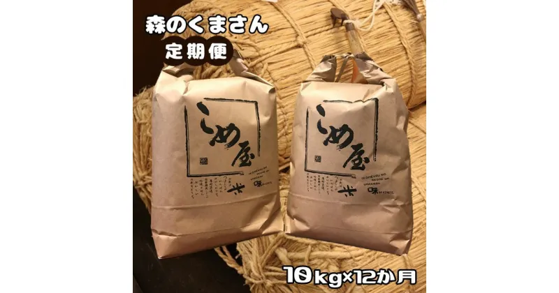 【ふるさと納税】 米 定期便 森のくまさん 10kg × 12回 精米 白米 | 検査米 日本遺産 菊池川 玉名 熊本 送料無料