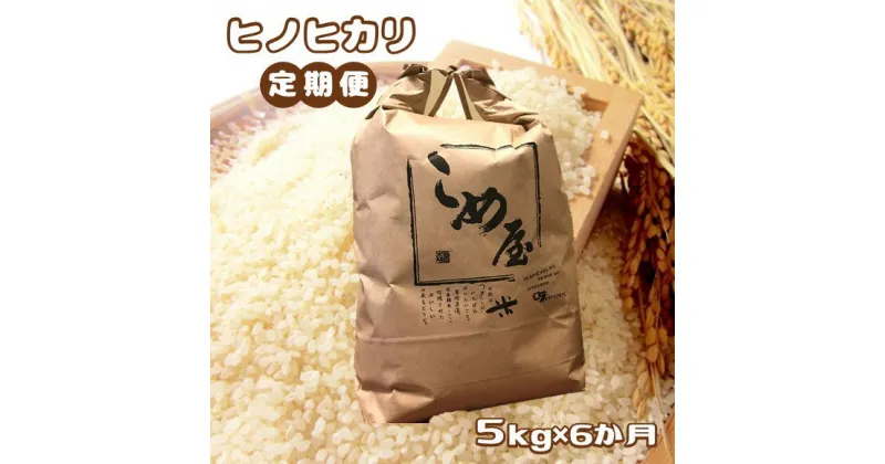 【ふるさと納税】定期便 米 ひのひかり ヒノヒカリ 5kg×6回 日本遺産 菊池川 玉名 熊本 送料無料