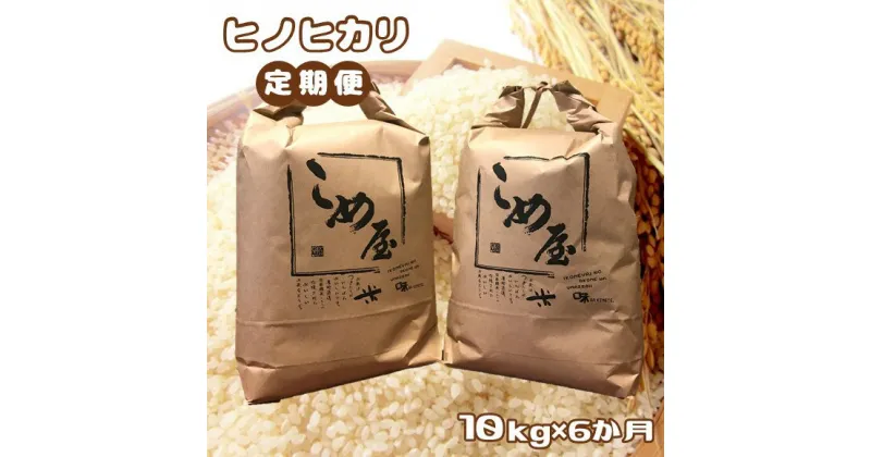 【ふるさと納税】定期便 米 ひのひかり ヒノヒカリ 10kg×6回 日本遺産 菊池川 玉名 熊本 送料無料