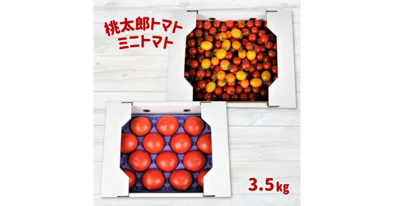 【ふるさと納税】 蘇鉄園芸 の トマト 三昧 ( ミニトマト 2kg + 桃太郎 トマト 14個 ) ＜1月～6月で発送＞ | ミニトマト 玉名 熊本