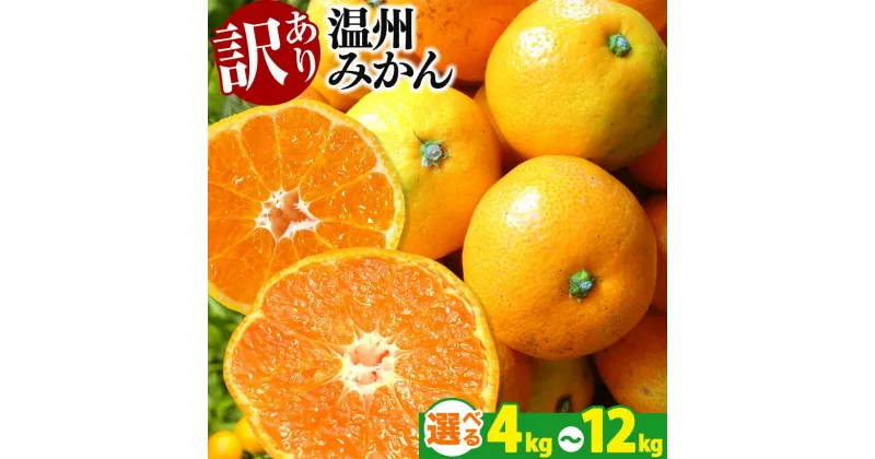 【ふるさと納税】 訳あり みかん 4kg 6kg 9kg 12kg 温州みかん 果物 フルーツ 大容量 家庭用 キズあり 大小混合 産地直送 生産者直送 旬 九州 熊本県 玉名市 送料無料