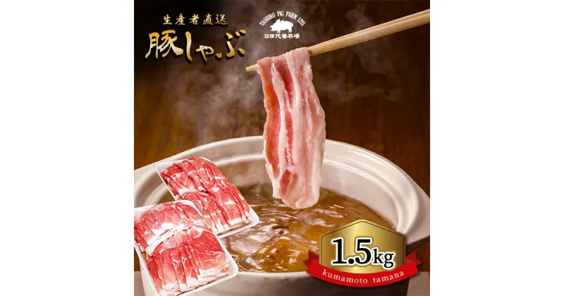 【ふるさと納税】 豚肉 しゃぶしゃぶ 国産豚 薄切り肉 スライス肉 1.5kg モモ カタ 熊本 玉名 大容量 1500g 豚 肉 しゃぶしゃぶ用 鍋 玉名 熊本 国産 しゃぶしゃぶセット 送料無料