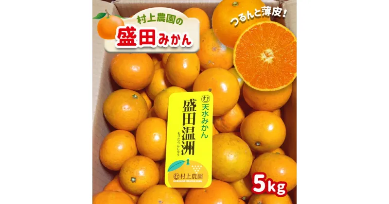 【ふるさと納税】みかん 盛田みかん 5kg 盛田温州 村上農園 数量限定 大小混合 産地直送 生産者直送 希少品種 減農薬 薄皮 玉名 熊本 送料無料