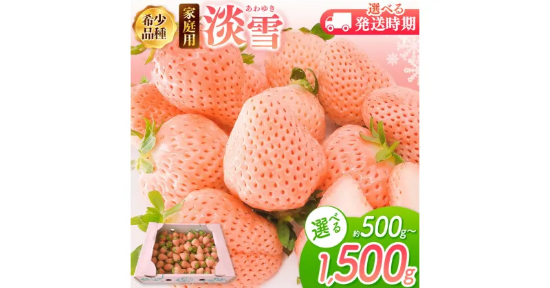 【ふるさと納税】 ご家庭用 淡雪 選べる 約500g or 約1000g or 約1500g 12月以降 or 2月以降発送 | 訳あり 果物 フルーツ いちご 白いちご 淡雪 簡易包装 熊本 玉名 送料無料