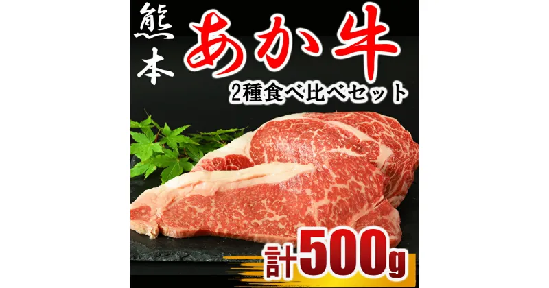 【ふるさと納税】あか牛 ステーキ 計500g 2種 食べ比べ サーロイン約250g リブロース約250g 牛肉 ステーキ 肉汁 おうち時間 熊本 送料無料 | 玉名 熊本