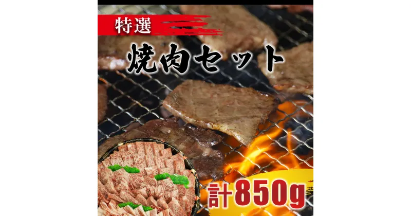 【ふるさと納税】黒毛和牛 特選焼肉セット 計850g　(ロース300g・カルビ300g・牛タン100g・豚肉150g） | 玉名 熊本