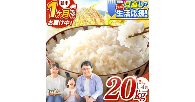 【ふるさと納税】 新米 発送開始中！ 応援米 20kg ( 5kg × 4 ) 1回 3回 6回 12回 定期便 米 お米 白米 数量限定 訳あり | 玉名 熊本