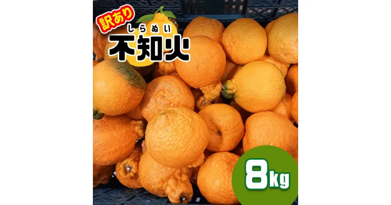 【ふるさと納税】訳あり 不知火 8kg | 果物 フルーツ みかん デコポン デコみかん ミカン 柑橘 みかん 産地直送 家庭用 大小混合 キズあり 玉名 熊本 8kg 送料無料