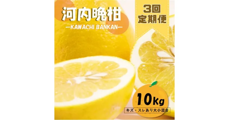 【ふるさと納税】定期便 3回 河内晩柑 10kg 柑橘 みかん ジューシーオレンジ 初夏 玉名 熊本県産 晩柑 10キロ×3回玉名 熊本 送料無料