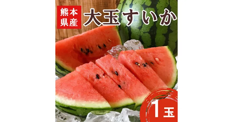 【ふるさと納税】 大玉 スイカ ( 1玉 ) 赤色 熊本県 すいか 果物 フルーツ 西瓜 くまもと産 甘い | 玉名 熊本