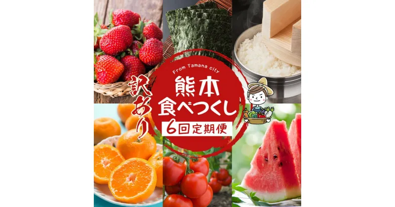 【ふるさと納税】定期便 旬 食品 食材 定期便6回 隔月 いちご 不知火 ミニトマト 海苔 すいか メロン 新米 みかん 熊本 玉名 送料無料