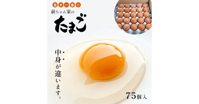 【ふるさと納税】たまご 鶏 卵 前ちゃん家のたまご 前原養鶏場 たまごかけご飯 75玉 赤玉子 熊本 玉名 送料無料