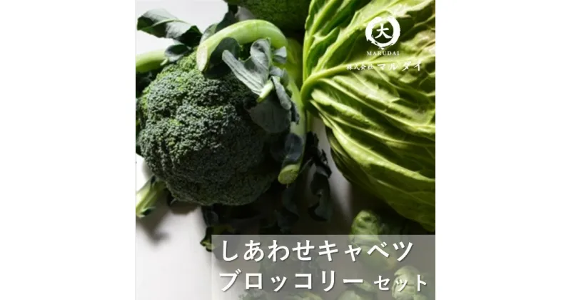 【ふるさと納税】野菜 ブロッコリー キャベツ 野菜セット 冬野菜 鍋 炒め物 サラダ 温野菜 産地直送 生産者直送 熊本 玉名 送料無料