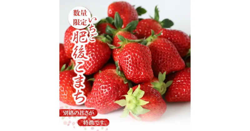 【ふるさと納税】 いちご イチゴ 苺 肥後こまち 希少品種 500g （250g×2） ご家庭用 生産者直送 産地直送 熊本玉名 送料無料