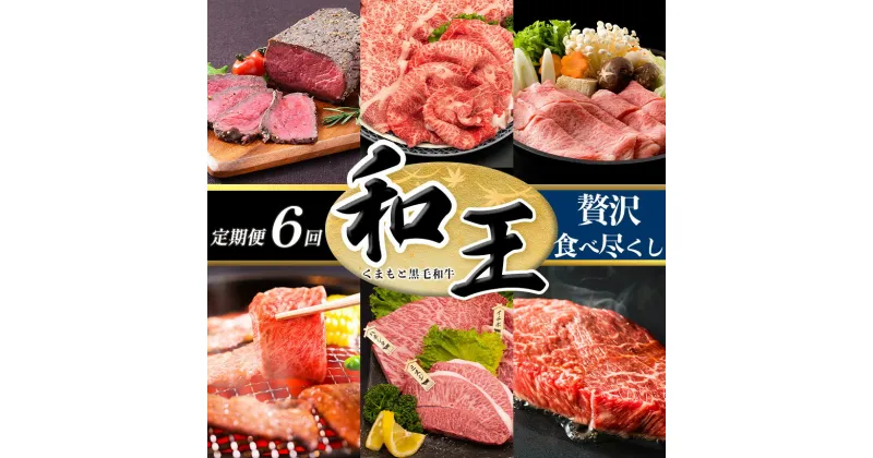 【ふるさと納税】 定期便 6回 和王 贅沢食べ尽くしコース A5 ランク ステーキ 焼肉 すき焼き しゃぶしゃぶ ブロック肉 黒毛和牛 お肉 肉 牛肉 熊本県産 送料無料 | 玉名 熊本