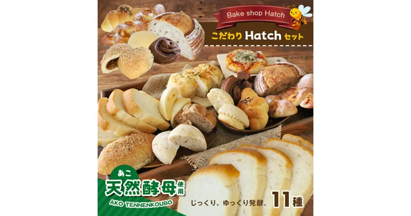 【ふるさと納税】 天然酵母 パン こだわり Hatch セット 11個入り くるみ クリームパン メロンパン エピ カレー 塩パン シナモンロール 手作りパン 酵母パン 食パン 送料無料 | 玉名 熊本