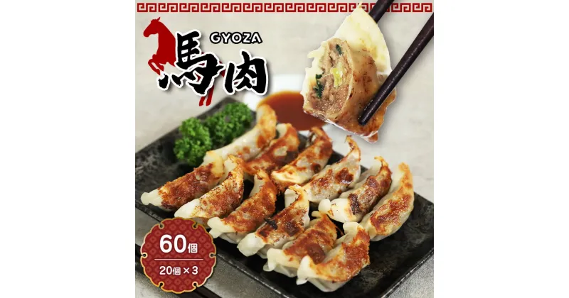 【ふるさと納税】 馬肉 一口餃子 60個 （20個×3） | 餃子 玉名 熊本