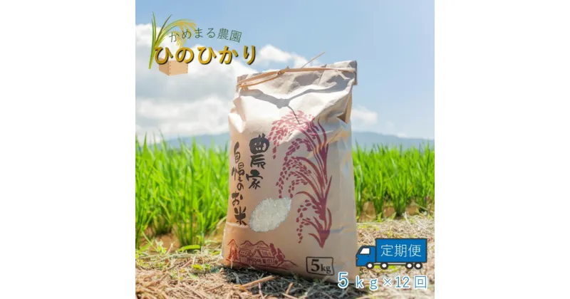 【ふるさと納税】定期便12回　かめまる農園の「ひのひかり」5kg×12回 | 米 単一原料米 玄米 白米 玉名 熊本