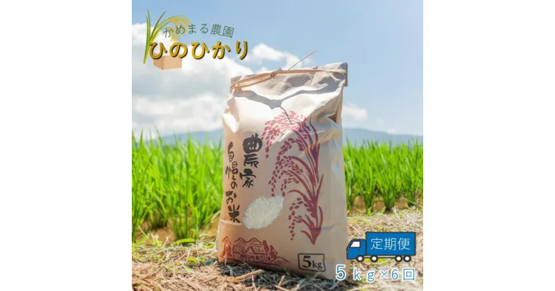 【ふるさと納税】定期便6回 かめまる農園の「ひのひかり」5kg×6回 | 米 単一原料米 玄米 白米 玉名 熊本