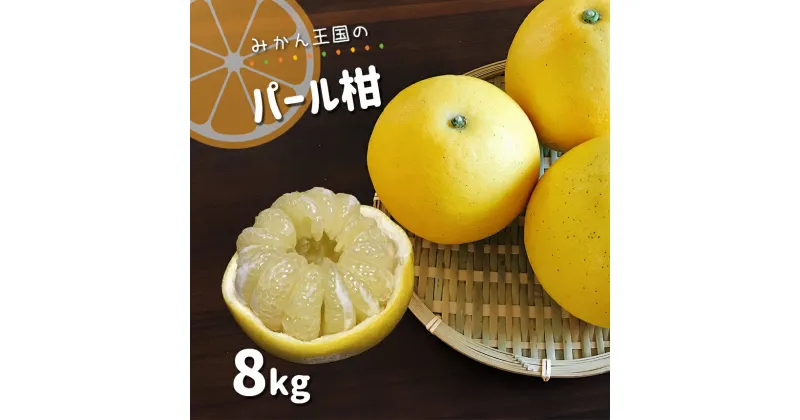 【 ふるさと納税 】 「 みかん王国 」 パール柑 8kg | 果物 くだもの フルーツ 柑橘 柑橘類 みかん ミカン 玉名 熊本 旬 送料無料