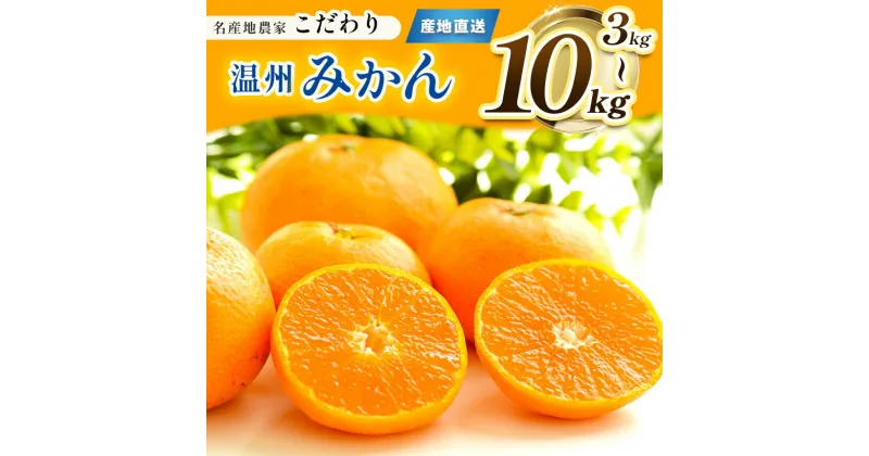 【ふるさと納税】 こだわり みかん 柑橘 ミカン 選べる 3kg 5kg 10kg | 果物 くだもの フルーツ 柑橘 柑橘類 みかん 温州 玉名 熊本 下田農園 生産者直送 産地直送 熊本玉名 送料無料