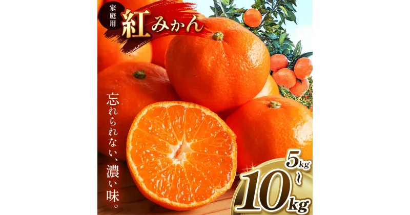 【ふるさと納税】 家庭用 紅みかん 柑橘 ミカン 選べる 5kg 10kg | 果物 くだもの フルーツ 柑橘 柑橘類 みかん 紅みかん 玉名 熊本 下田農園 生産者直送 産地直送 熊本玉名 送料無料