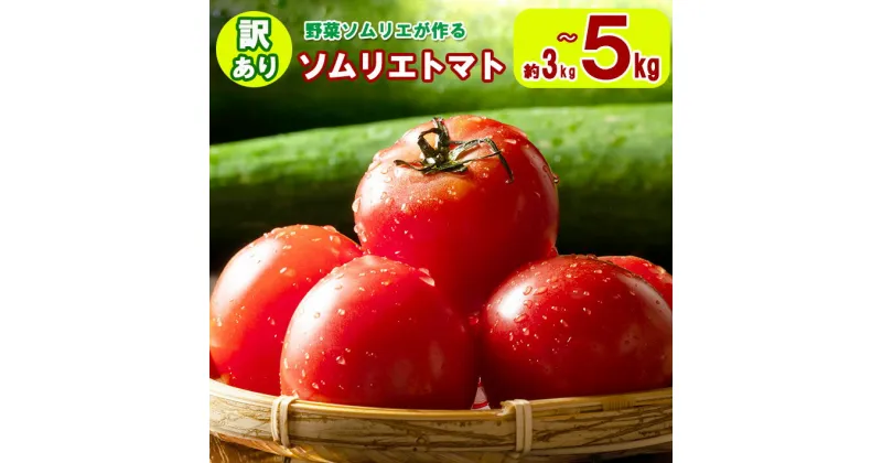 【ふるさと納税】大玉 訳あり ソムリエトマト 約3kg～5kg × 1箱 農家直送 熊本 玉名