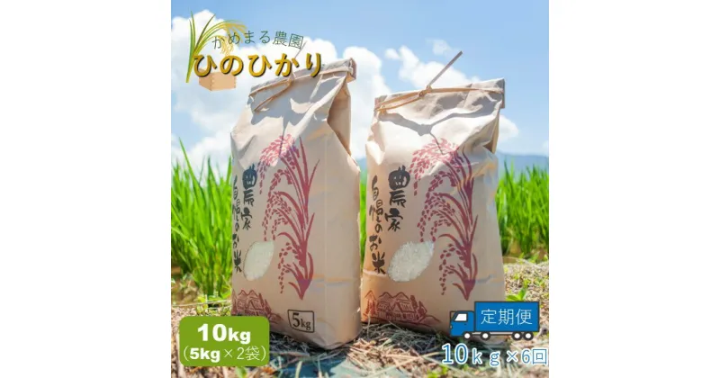 【ふるさと納税】【定期便6回】かめまる農園の「ひのひかり」10kg×6回 | 米 単一原料米 玉名 熊本