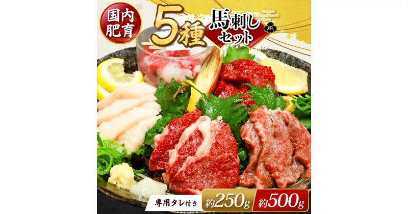 【ふるさと納税】 本場 熊本 馬刺し 豪華 5種盛り 選べる 約250g（50g×5P） ・ 約500g（50g×10P） 専用タレ付き | 玉名 熊本 馬肉 馬刺 赤身 霜降り フタエゴ 馬ひも コーネ 小分け