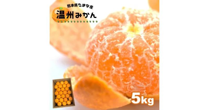 【ふるさと納税】みかん 温州みかん 5kg | 果物 くだもの フルーツ 柑橘 柑橘類 みかん 温州 5キロ 早生 極早生 肥のあかり 豊福 木村みかん 青島 玉名市 玉名 熊本 産産地直送 生産者直送 送料無料